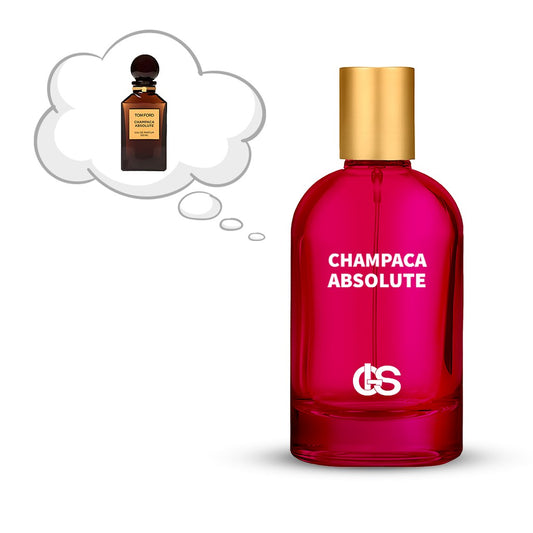 شامبكا ابسلوت